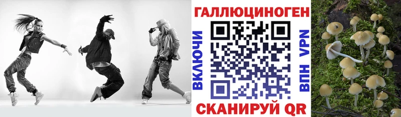 Галлюциногенные грибы мицелий  Чекалин 